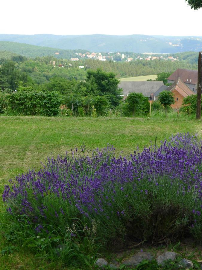 Orli Hnizdo At Chateau Novak Bed and breakfast *